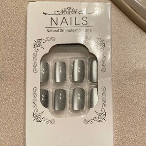 Elegant Silver Press-On Nails